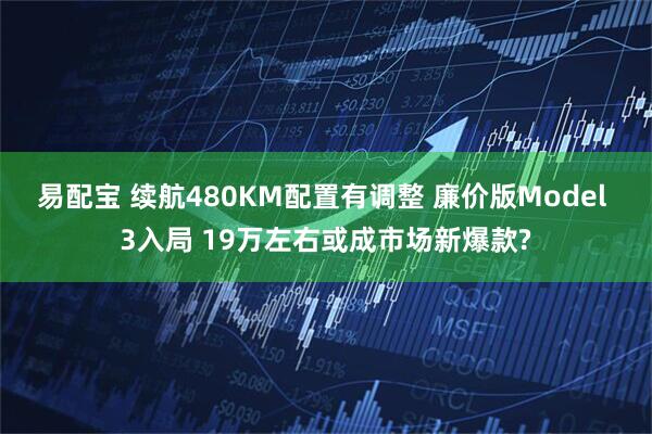 易配宝 续航480KM配置有调整 廉价版Model 3入局 19万左右或成市场新爆款?