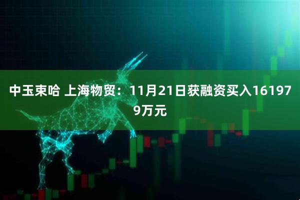 中玉束哈 上海物贸：11月21日获融资买入161979万元